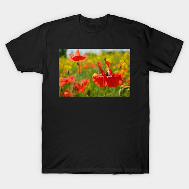 Wild Red Poppies T-Shirt by jojobob